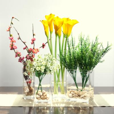 S/4 glass tank vase