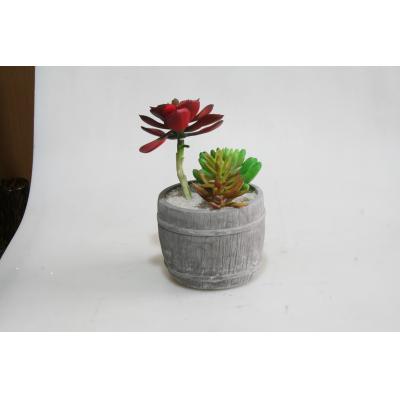 Bucket flowerpot